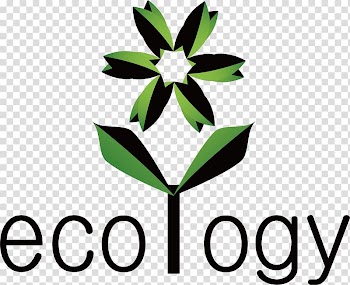Just Energy Electricity Natural gas Payment, Leaf English transparent background PNG clipart