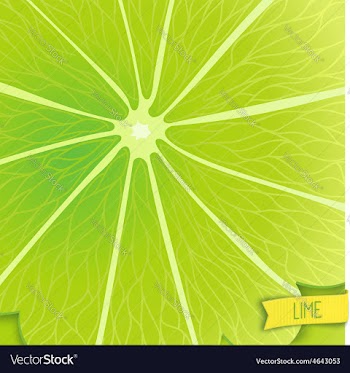 Just lime background vector image