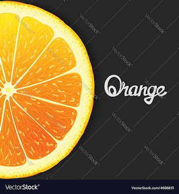 Just orange vector image