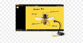 Just Plug In A Mouse To Carry Out Onboard Annotation - Flexible Arm Interactive Visualizer/document Camera