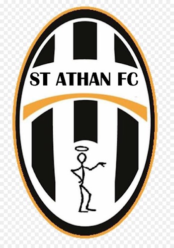 Juventus F.C. Dream League Soccer UEFA Champions League Serie A Football - football 
