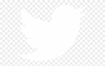 Jyväskylän Paviljonki - Twitter Logo White Vector