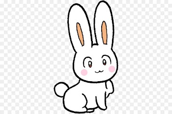 K-pop Domestic rabbit BTS BDZ SHINee -  