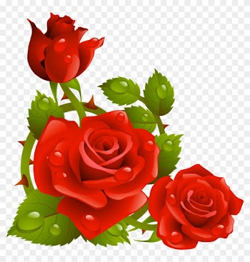 Фото, Автор K - Rose Flowers Wallpaper 3d