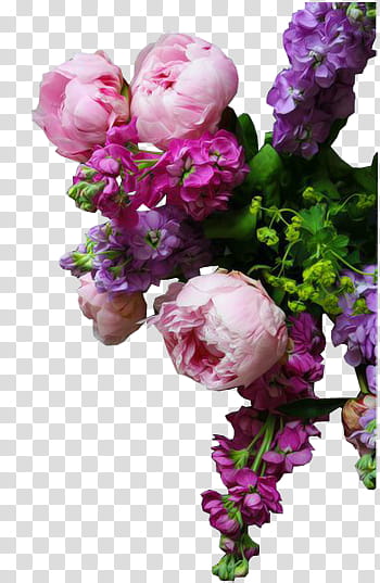 K WATCHERS Gift , pink and purple petaled flowers transparent background PNG clipart