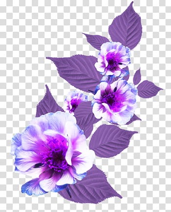 K WATCHERS Gift , purple petaled flowers illustration transparent background PNG clipart