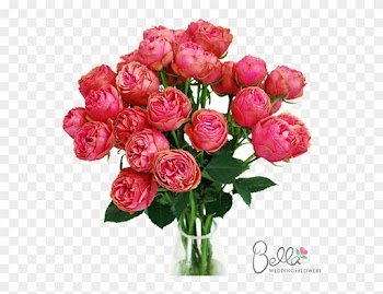 Kabuky Garden Roses Are One Of The Newest Hot Items - Red Rose Bouquet