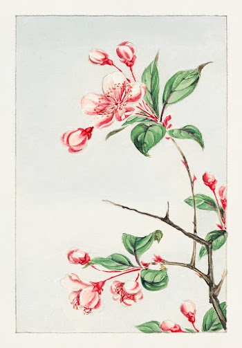 Kaido pyrus spectabalis during 1870&ndash;1880 by Megata Morikaga. Original from Library of Congress. Digitally enhanced by rawpixel.