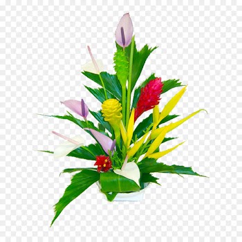 Kailua Flower bouquet Teleflora Clip art - tropical flower 