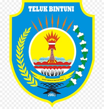 Kaimana Regency Bintuni Bay Teluk Wondama Regency Manokwari Regency - barat pattern 