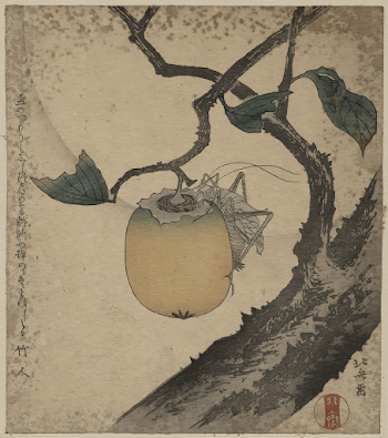 Kaki ni kirigirisu. Original from the Library | Free Photo - rawpixel