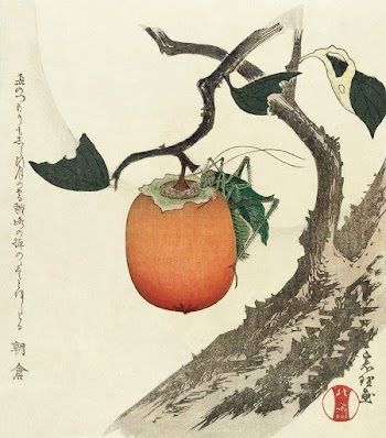 Kakivrucht met sprinkhaan (ca. 1890&ndash;1900) in high resolution by Katsushika Hokusai. Original from The Rijksmuseum. Digitally enhanced by rawpixel.