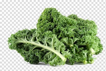 Kale Leaf vegetable Nutrition, kale transparent background PNG clipart