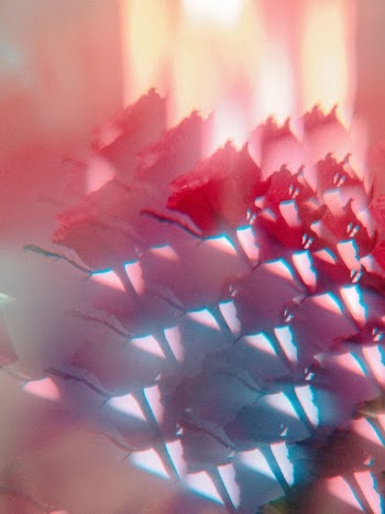 Kaleidoscope Picture of Red Roses · Free Stock Photo