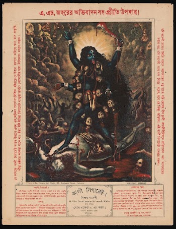 Kali | Free Photo - rawpixel