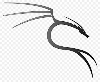 Kali Linux BackTrack Penetration test Offensive Security Certified Professional - linux 