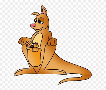 Kangaroo - Alphabet K