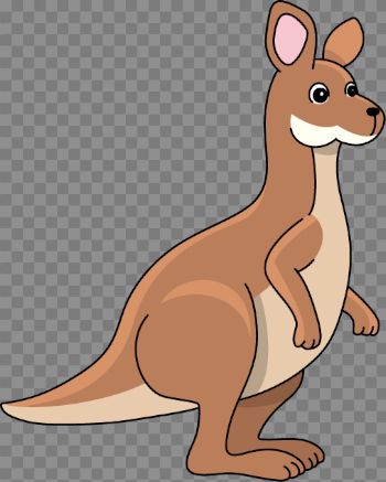 Kangaroo Cartoon PNG Image Background