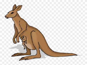 Kangaroo Clip Art Beer Free Clipart Images - Kangaroo Clip Art