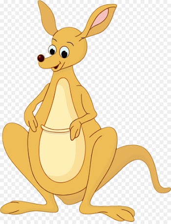kangaroo macropodidae kangaroo cartoon wallaby