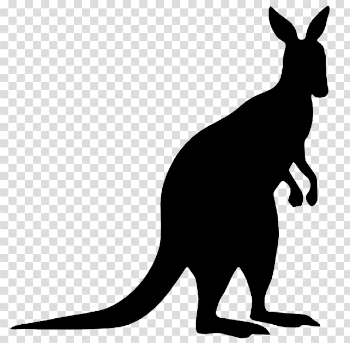 Kangaroo PNG Transparent Image
