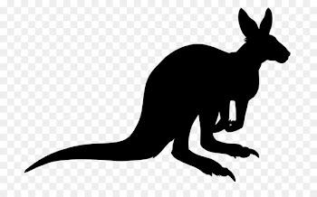 Kangaroo, Red Fox, Hare, Mammal, Vertebrate PNG