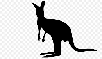 Kangaroo Royalty-free Vector graphics Stock photography Illustration -  