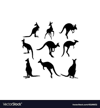 kangaroo set silhouette design icon