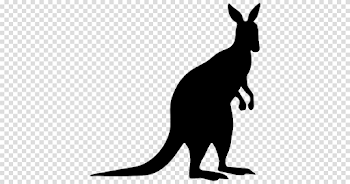 Kangaroo Silhouette PNG Image Background