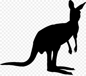 Kangaroo Vector graphics Royalty-free Stock photography Image -  