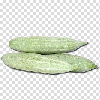 Kannur Vegetable Melon Cucumber, snakes transparent background PNG clipart
