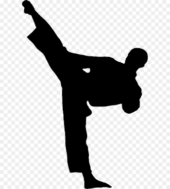 Karate Kick Martial arts Taekwondo Clip art - kicked png download ...