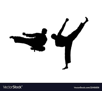  					Karate silhouettes vector image														