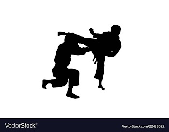  					Karate sport activity silhouettes vector image														