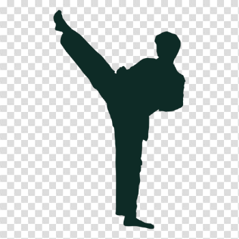 Karate Transparent Image