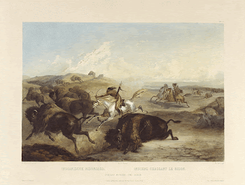 Karl Bodmer: Indians hunting the bison. | Free Photo - rawpixel