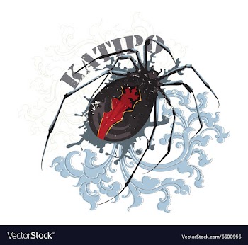 Katipo spider vector image