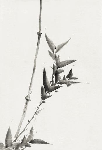 Katsushika Hokusai&rsquo;s bamboo (1760-1849) vintage | Free Photo Illustration - rawpixel
