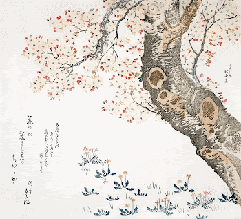 Katsushika Hokusai&rsquo;s cherry tree (1760&ndash;1849) | Free Photo Illustration - rawpixel