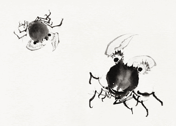 Katsushika Hokusai&rsquo;s Japanese crabs, Album | Free Photo Illustration - rawpixel