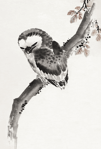 Katsushika Hokusai&rsquo;s Japanese owl, Album | Free Photo Illustration - rawpixel