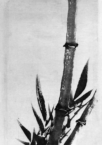 Katsushika Hokusai's bamboo (1760&ndash;1849) vintage | Free Photo Illustration - rawpixel