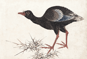 Katsushika Hokusai's bird, from Album | Free Photo Illustration - rawpixel