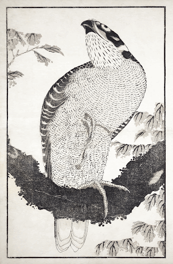 Katsushika Hokusai's bird, from Album | Free Photo Illustration - rawpixel