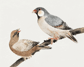 Katsushika Hokusai's birds, from Album | Free Photo Illustration - rawpixel