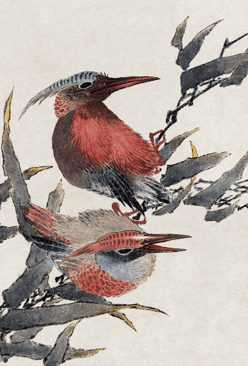 Katsushika Hokusai's birds, from Album | Free Photo Illustration - rawpixel
