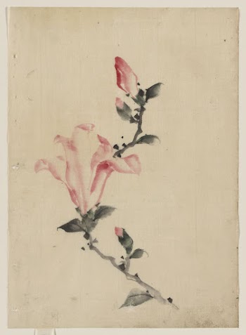 Katsushika Hokusai's Large Pink Blossom | Free Photo - rawpixel