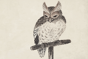 Katsushika Hokusai's owl, from Album | Free Photo Illustration - rawpixel