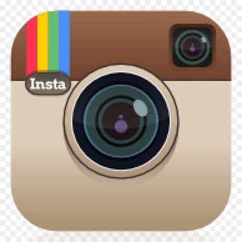 Kelly's Florist Logo Salinas Computer Icons Information - instagram icon transparent 