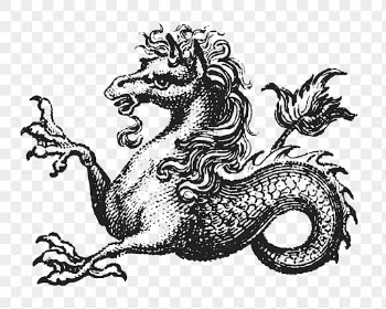 Kelpie sea horse png sticker | Free PNG - rawpixel